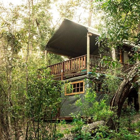 Fernhill Tented Treehouses Rheenendal Luaran gambar