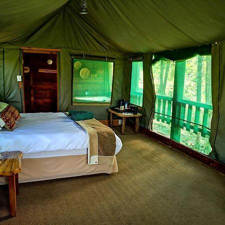 Fernhill Tented Treehouses Rheenendal Luaran gambar