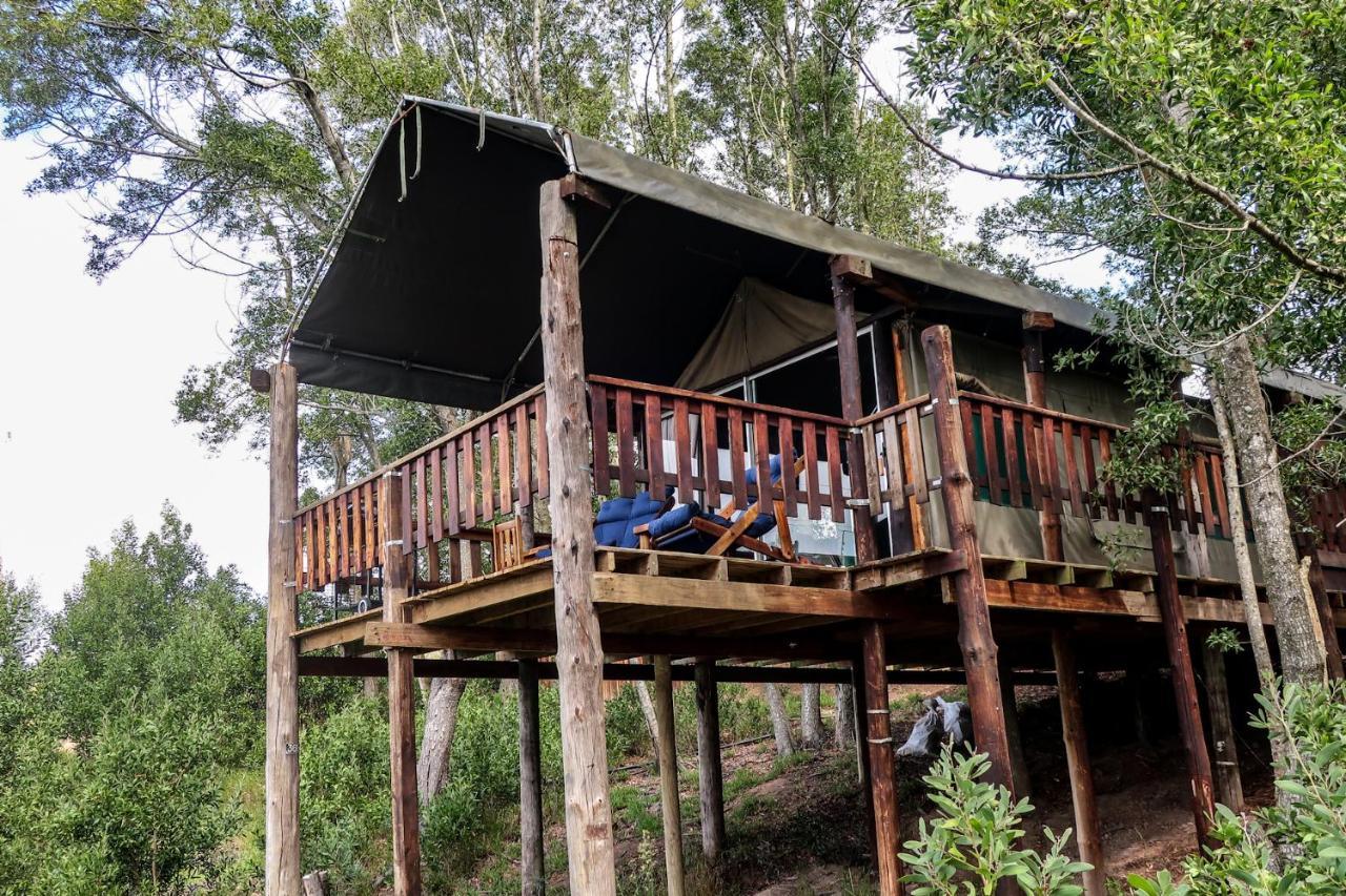 Fernhill Tented Treehouses Rheenendal Luaran gambar