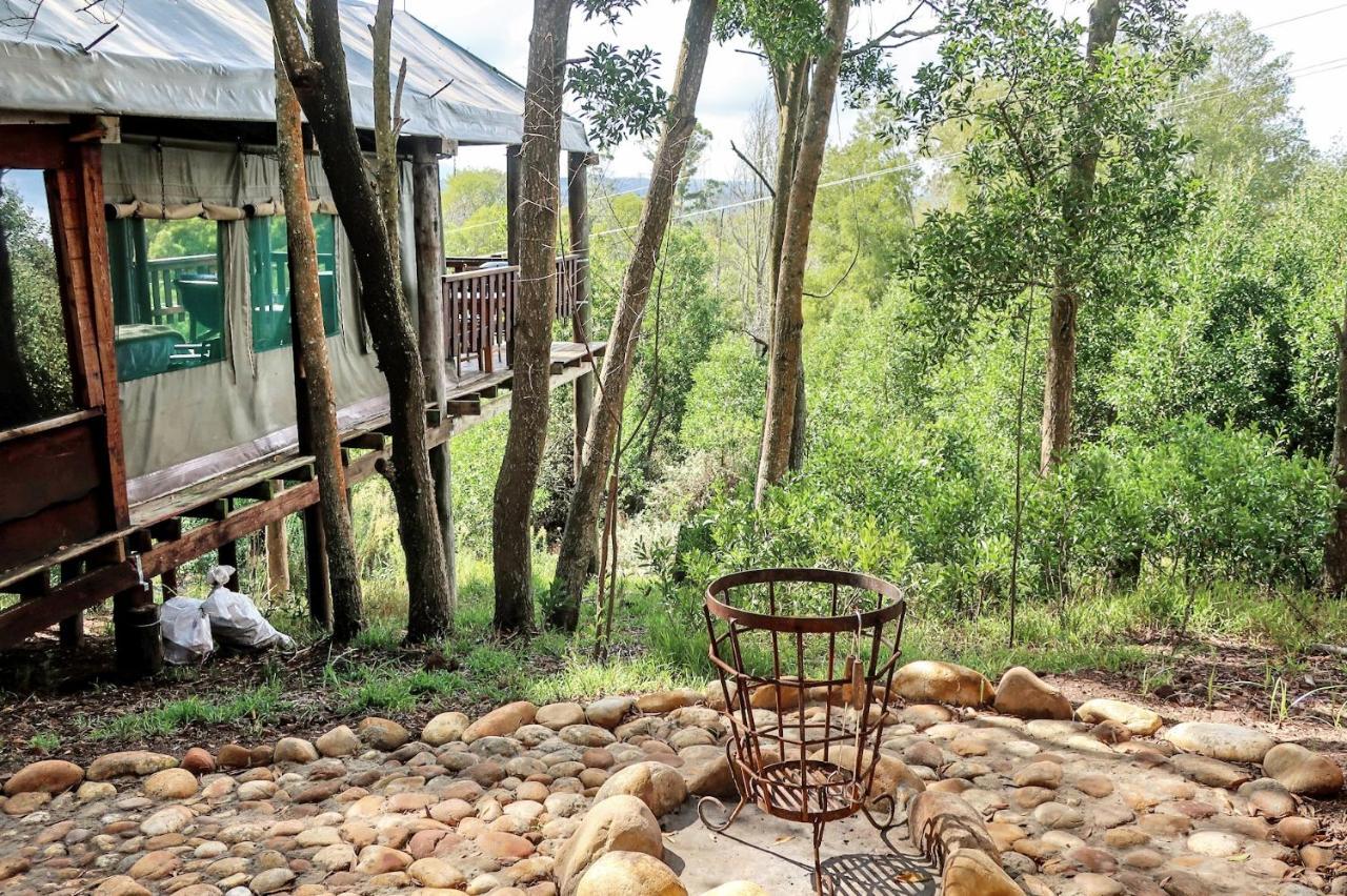 Fernhill Tented Treehouses Rheenendal Luaran gambar