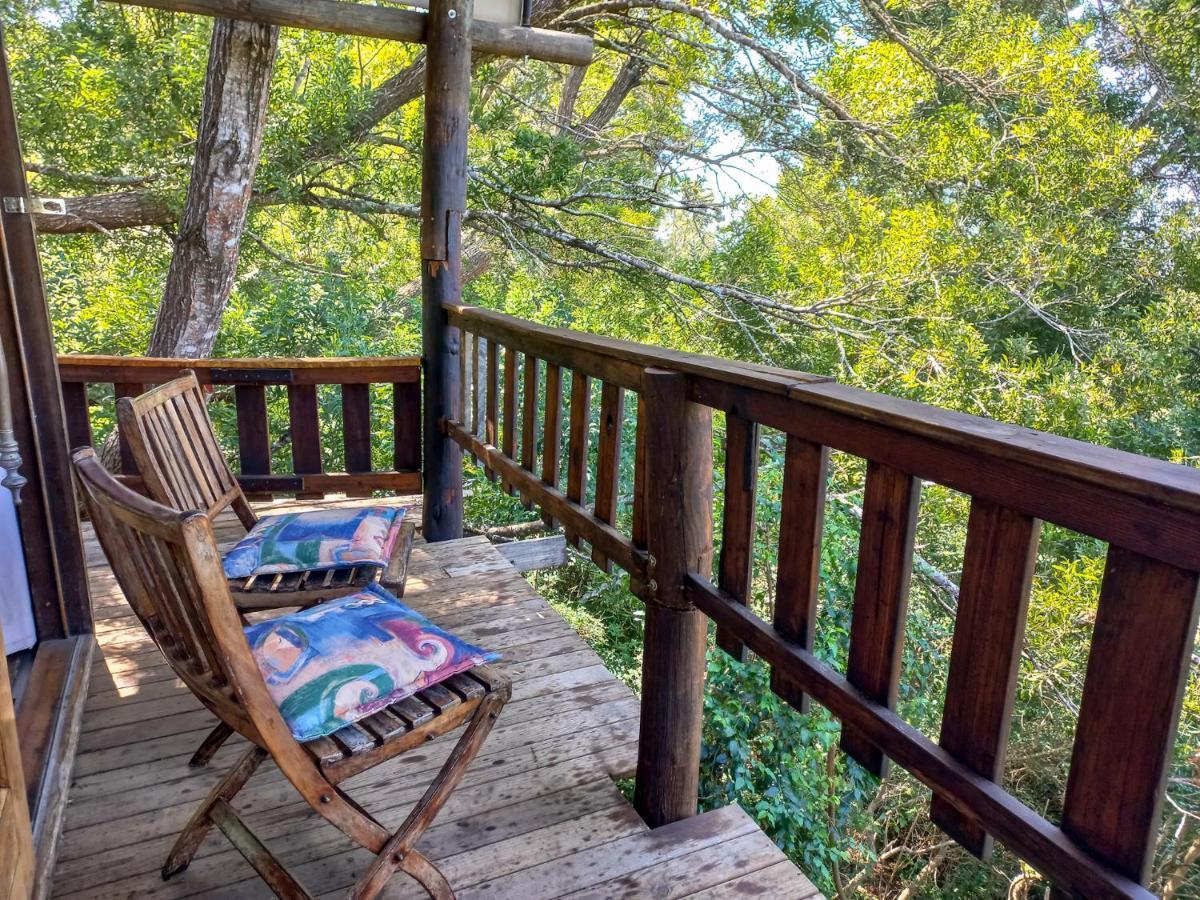 Fernhill Tented Treehouses Rheenendal Luaran gambar