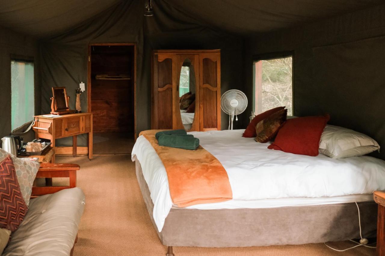 Fernhill Tented Treehouses Rheenendal Luaran gambar