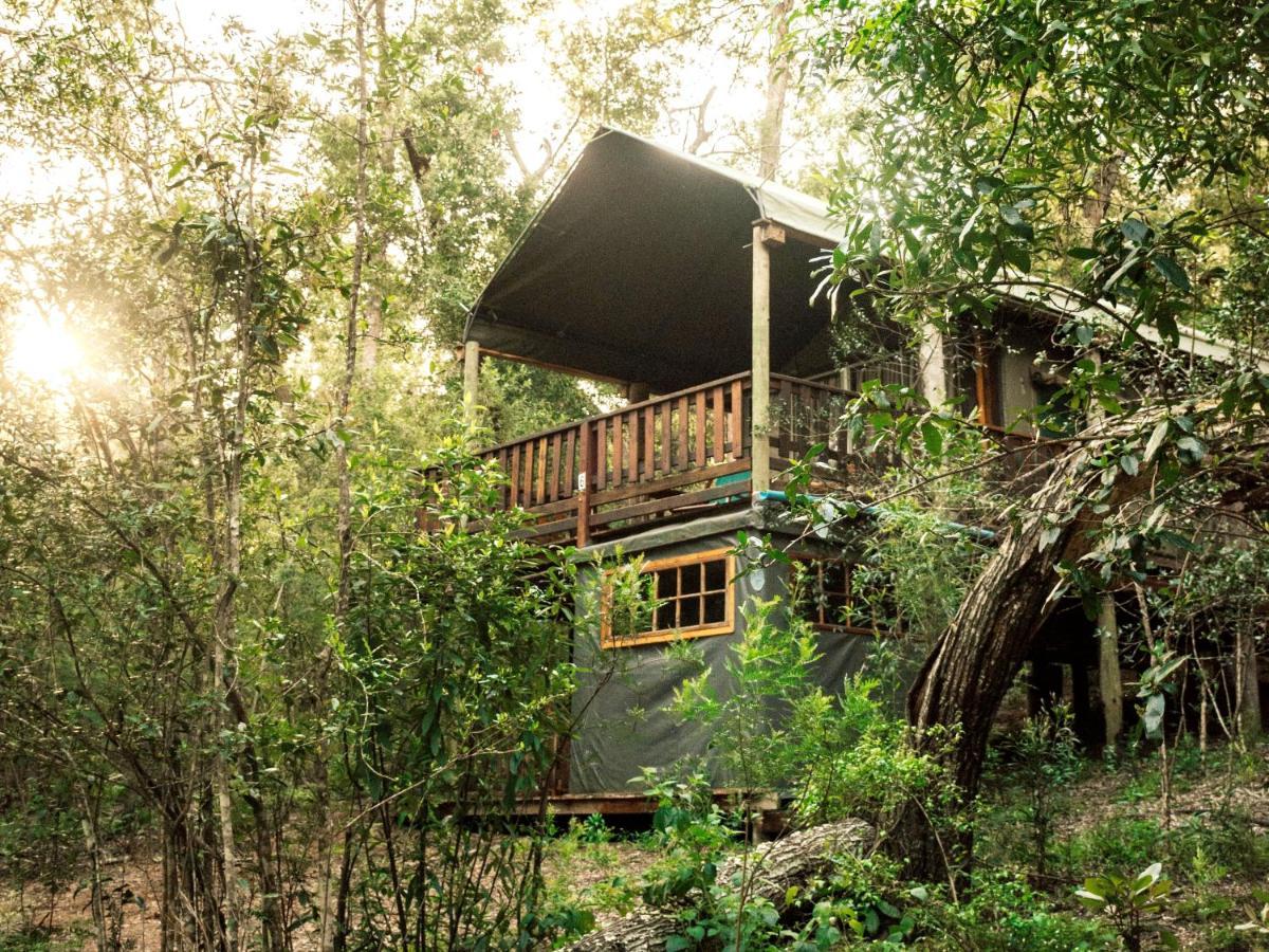 Fernhill Tented Treehouses Rheenendal Luaran gambar