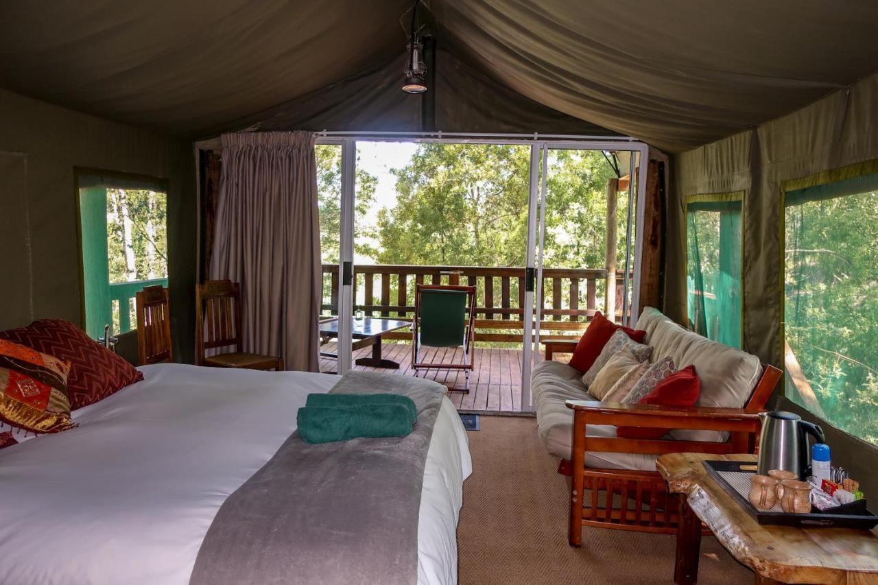 Fernhill Tented Treehouses Rheenendal Luaran gambar
