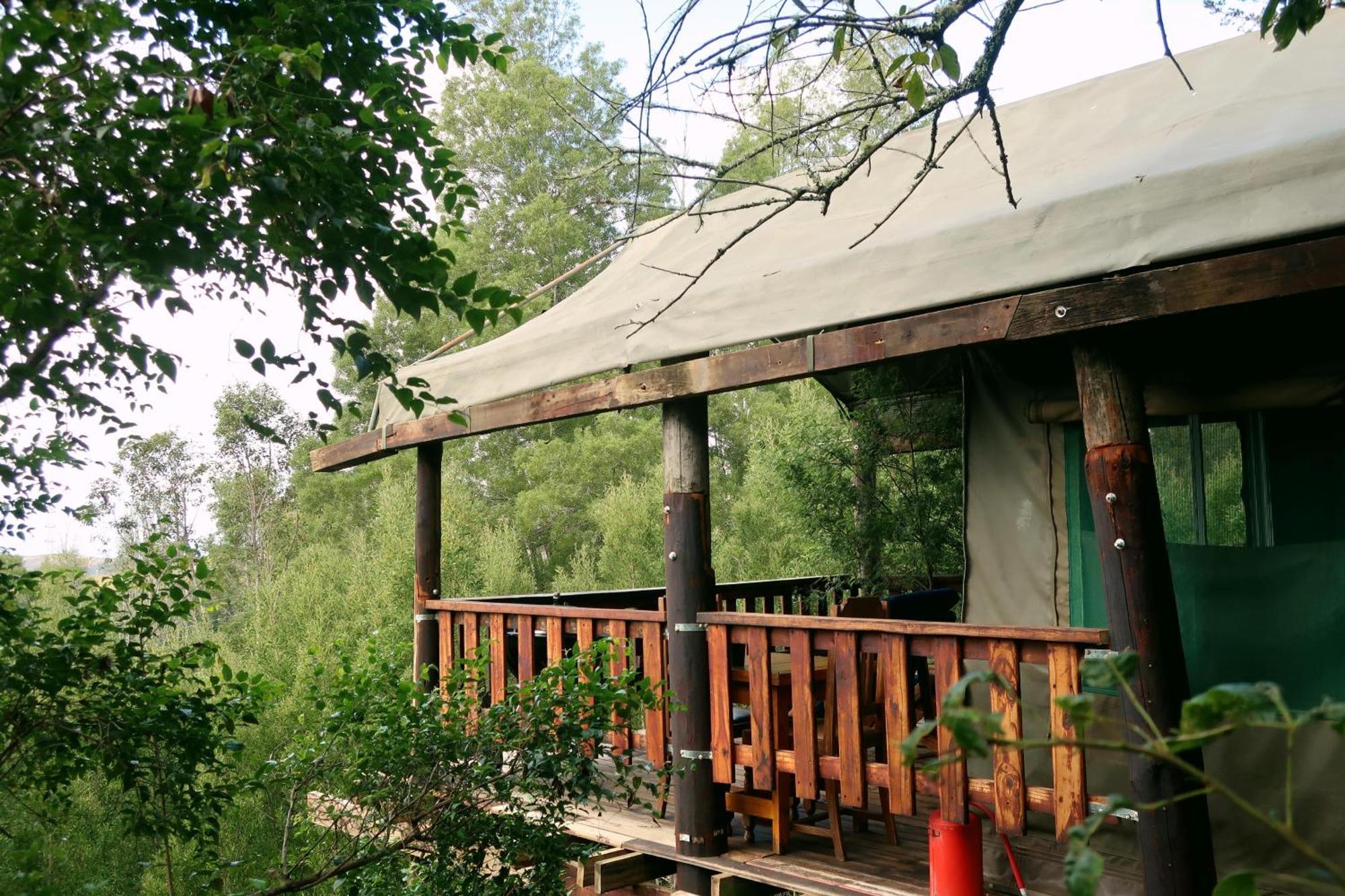 Fernhill Tented Treehouses Rheenendal Bilik gambar