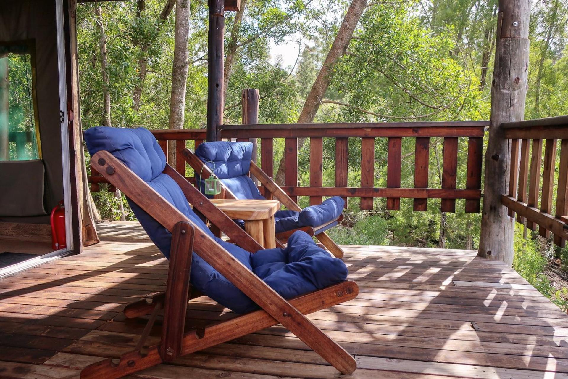 Fernhill Tented Treehouses Rheenendal Bilik gambar