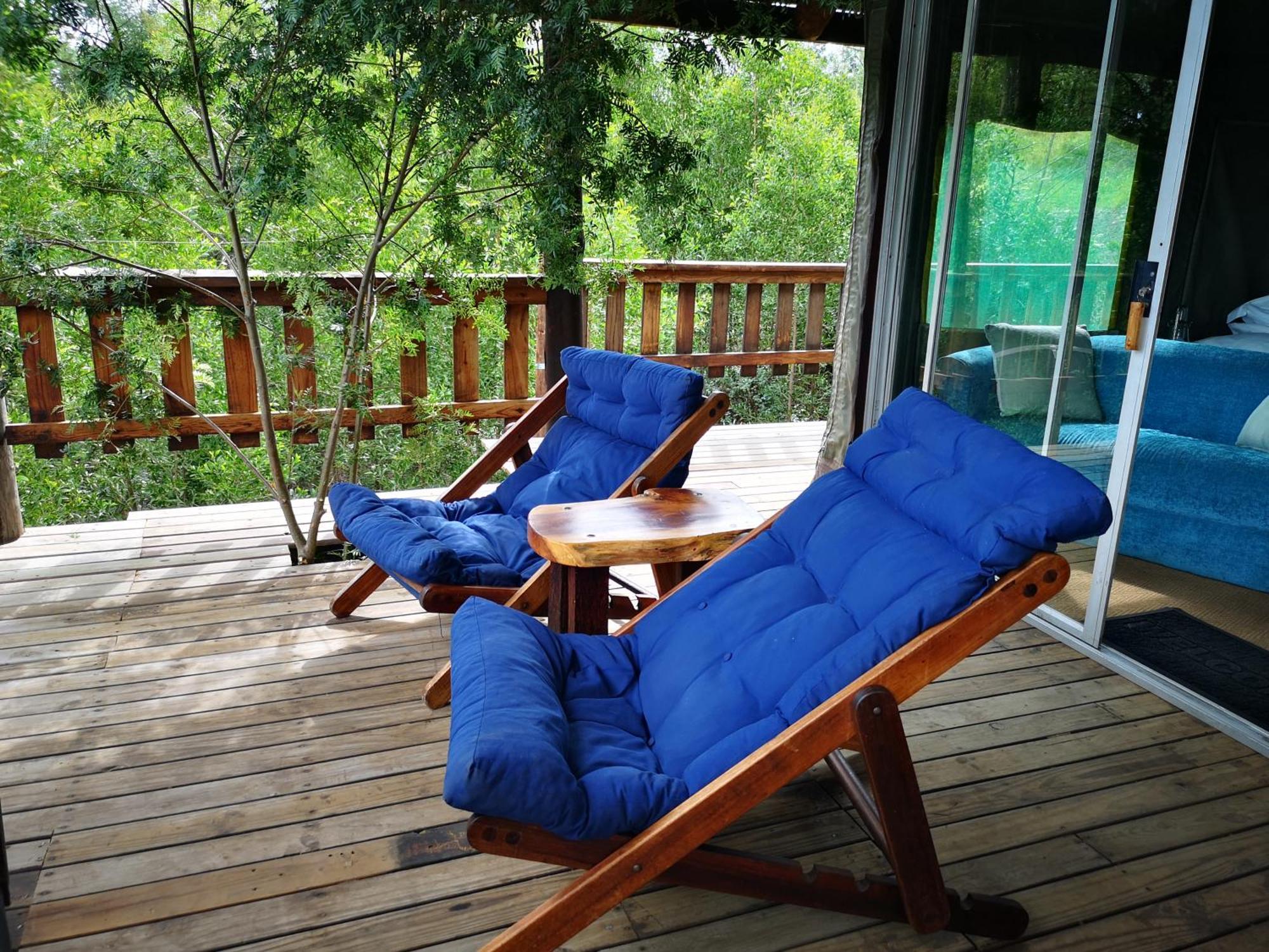 Fernhill Tented Treehouses Rheenendal Bilik gambar