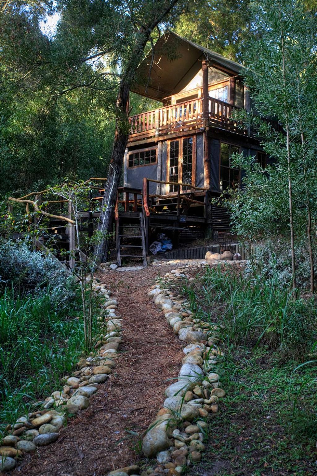 Fernhill Tented Treehouses Rheenendal Bilik gambar
