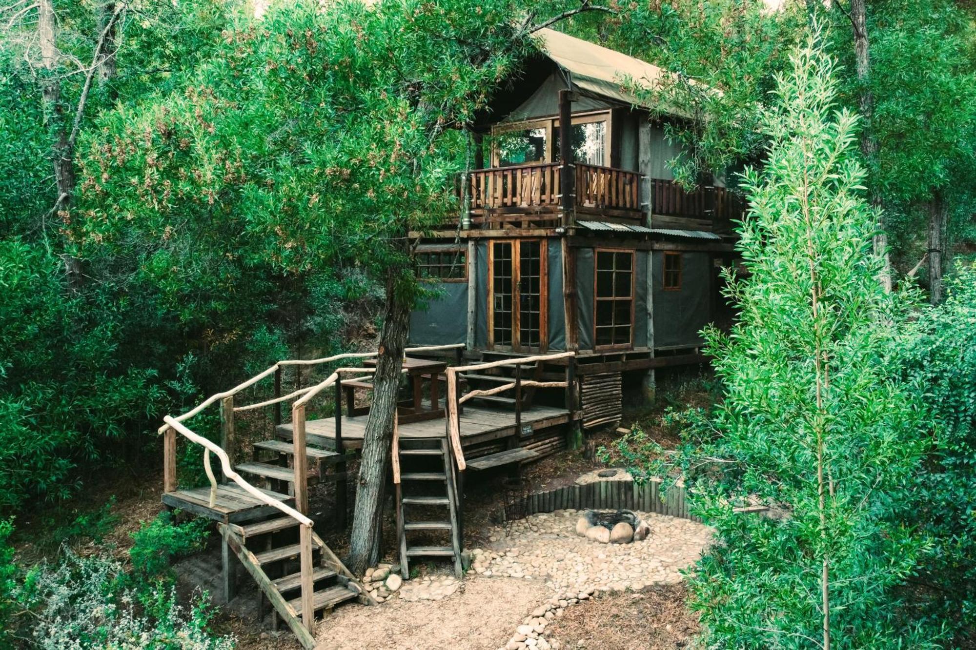 Fernhill Tented Treehouses Rheenendal Luaran gambar