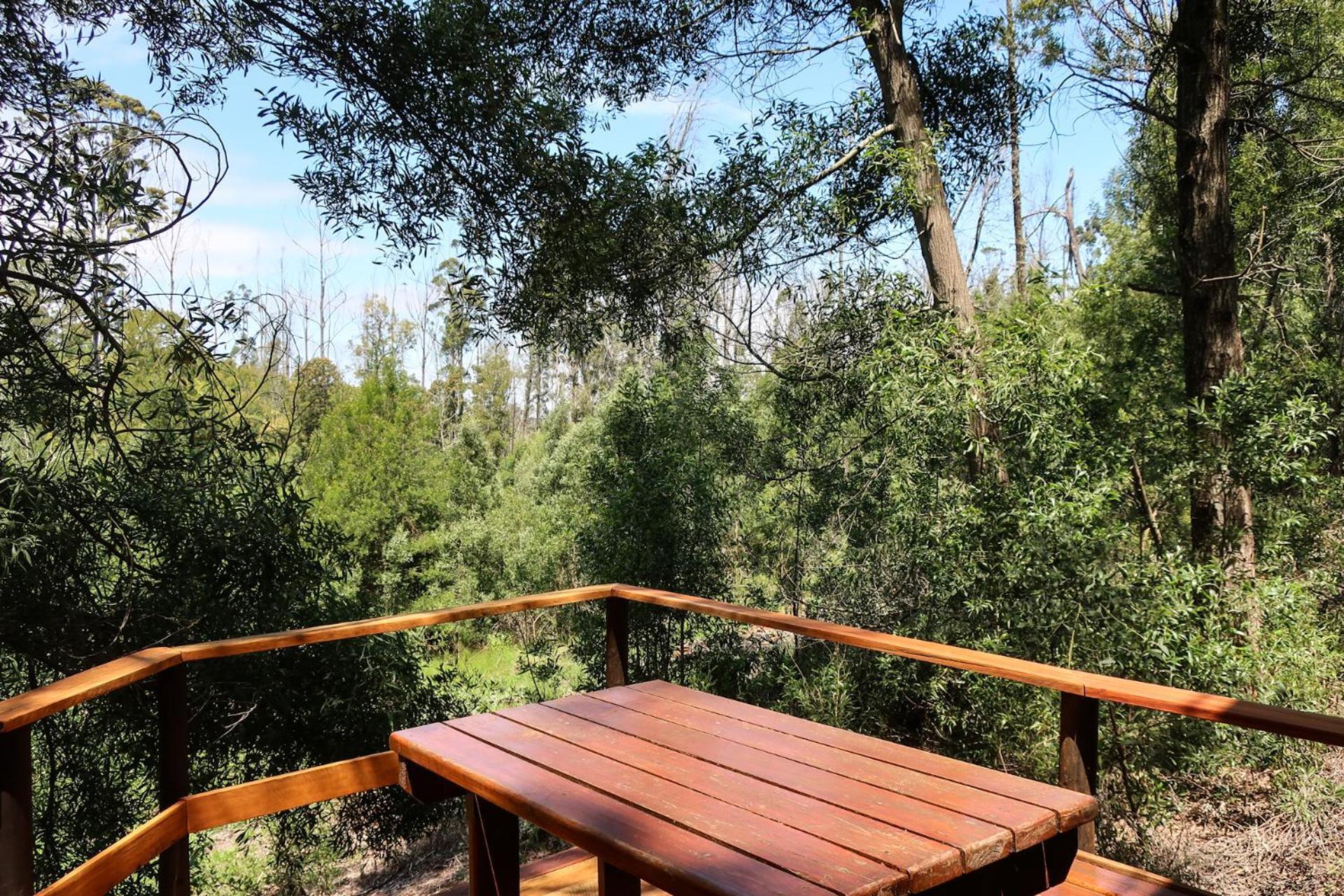 Fernhill Tented Treehouses Rheenendal Luaran gambar